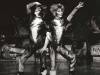 Cats-National-Tour-IV-Macavity-1